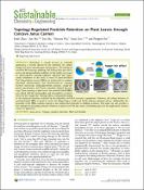 Hình ảnh thu nhỏ