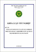 Hình ảnh thu nhỏ