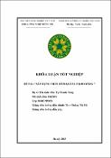 Hình ảnh thu nhỏ