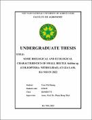 Hình ảnh thu nhỏ