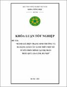 Hình ảnh thu nhỏ