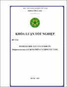 Hình ảnh thu nhỏ