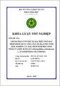 Hình ảnh thu nhỏ