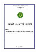 Hình ảnh thu nhỏ