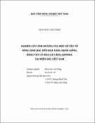 Hình ảnh thu nhỏ