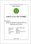Hình ảnh thu nhỏ