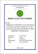 Hình ảnh thu nhỏ
