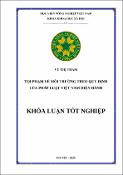 Hình ảnh thu nhỏ