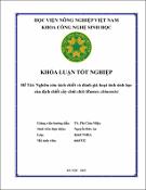 Hình ảnh thu nhỏ