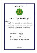 Hình ảnh thu nhỏ