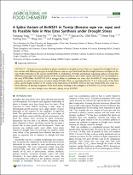 Hình ảnh thu nhỏ