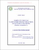 Hình ảnh thu nhỏ