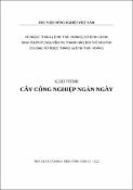 Hình ảnh thu nhỏ