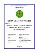 Hình ảnh thu nhỏ