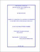 Hình ảnh thu nhỏ