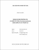 Hình ảnh thu nhỏ