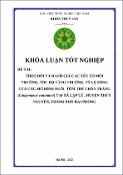 Hình ảnh thu nhỏ