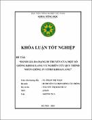 Hình ảnh thu nhỏ
