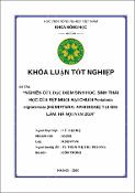 Hình ảnh thu nhỏ