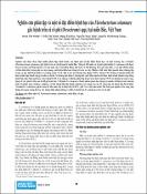 Hình ảnh thu nhỏ