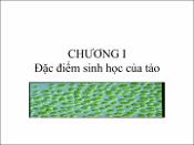 Hình ảnh thu nhỏ