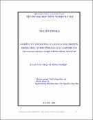 Hình ảnh thu nhỏ