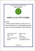 Hình ảnh thu nhỏ