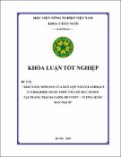 Hình ảnh thu nhỏ