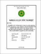 Hình ảnh thu nhỏ