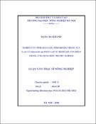 Hình ảnh thu nhỏ