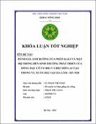 Hình ảnh thu nhỏ