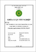 Hình ảnh thu nhỏ
