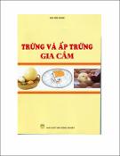 Hình ảnh thu nhỏ