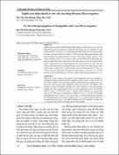 Hình ảnh thu nhỏ