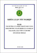 Hình ảnh thu nhỏ