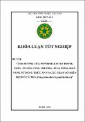 Hình ảnh thu nhỏ