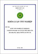 Hình ảnh thu nhỏ