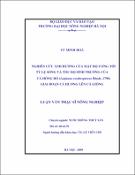 Hình ảnh thu nhỏ