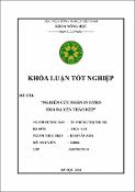 Hình ảnh thu nhỏ