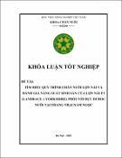 Hình ảnh thu nhỏ